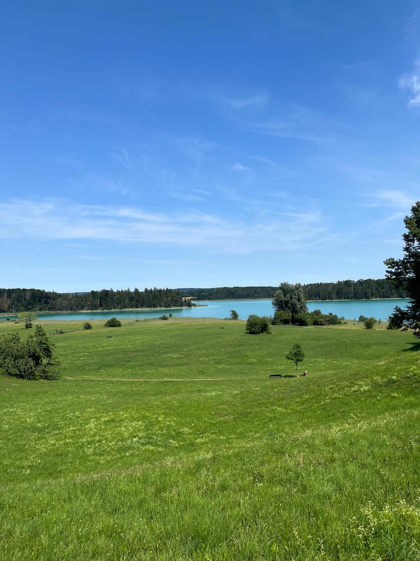 Bavarian Nature