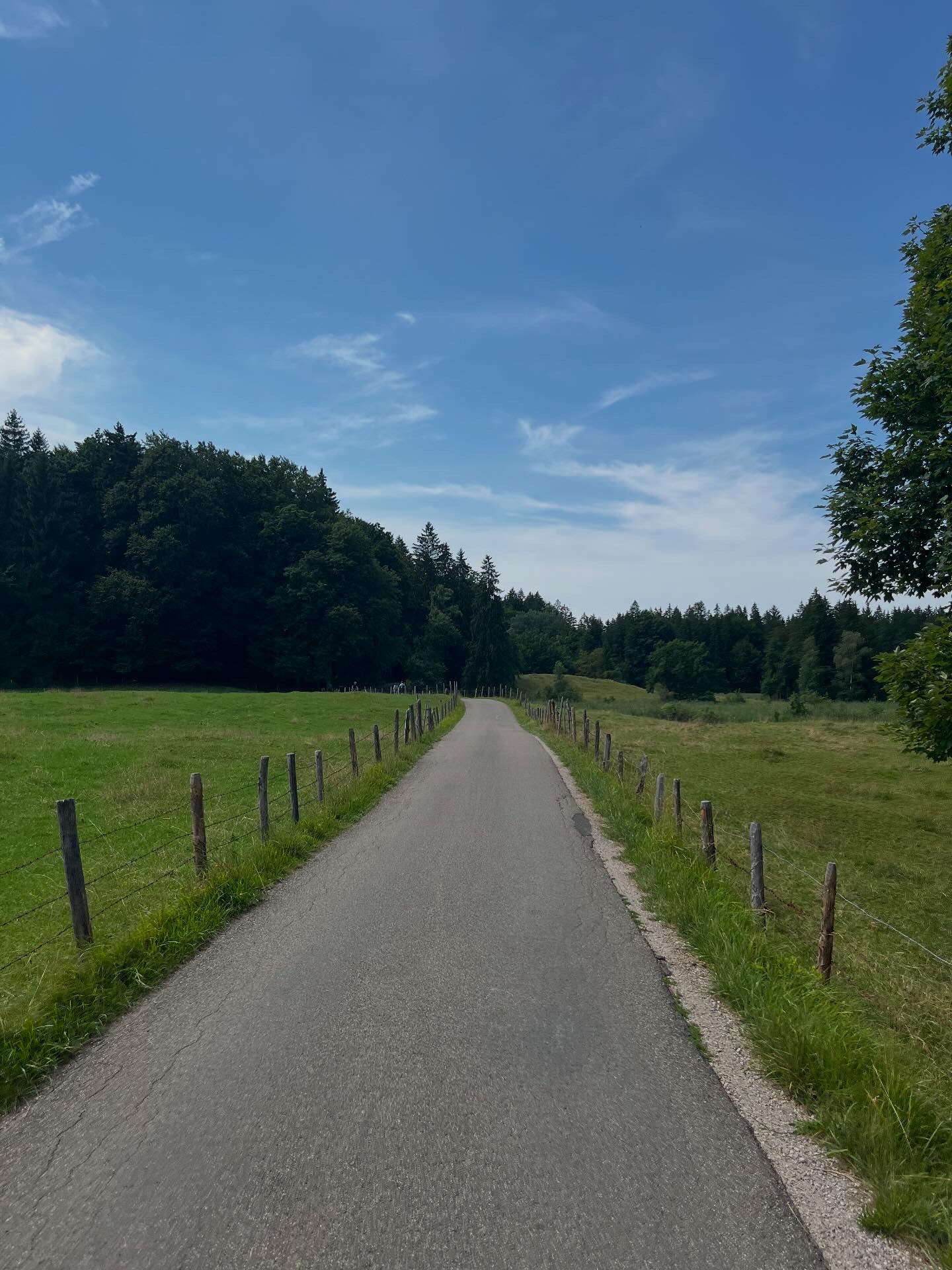 Walking Path